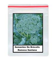 Sementes De Brócolis Ramoso Santana 100 unidades Sementes De Brócolis Ramoso Santana 100 unidades
