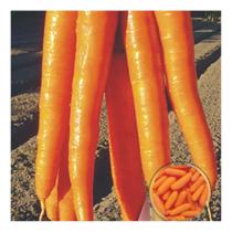 Sementes de Brs Esplanada Pac C/ 50gr de Sementes