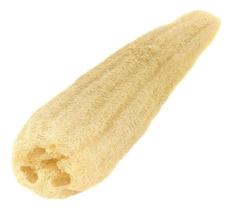 Sementes de Bucha Bob Esponja Vegetal 10gr