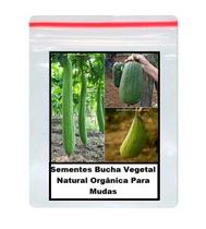 Sementes de Bucha Vegetal Natural Orgânica Para Mudas 100 unidades Sementes de Bucha Vegetal Natural Orgânica Para Mudas 100 unidades