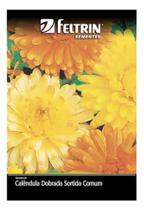 Sementes de Calendula Dobrada Sortida Comum Env C/ 350mg