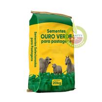 Sementes De Capim Para Cavalos Brs Tamani 2kg Pastagem