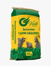 Sementes De Capim Vaquero - Pacote Com 5 Kg Sementes De Capim Vaquero - Pacote Com 5 Kg