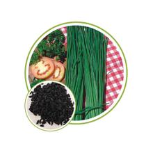 Sementes de Cebolinha de Tempero Todo Ano 1,50g