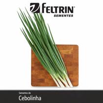 Sementes de Cebolinha Feltrin 2g Alta Germinação para Plantio