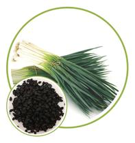 Sementes de Cebolinha Isabel 100gr Sementes de Cebolinha Isabel 100gr