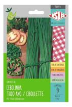 Sementes de Cebolinha Todo Ano Ciboulette Env c/ 1.50gr Sementes de Cebolinha Todo Ano Ciboulette Env c/ 1.50gr