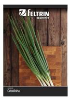 Sementes de Cebolinha Todo Ano Env C/ 3gr Sementes de Cebolinha Todo Ano Env C/ 3gr