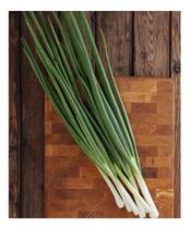 Sementes de Cebolinha Todo Ano Env C/400MG Sementes de Cebolinha Todo Ano Env C/400MG