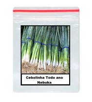 Sementes De Cebolinha Todo ano Nebuka 100 unidades Sementes De Cebolinha Todo ano Nebuka 100 unidades