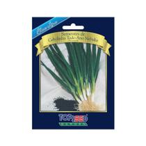 Sementes de Cebolinha Todo Ano Nebuka Topseed Garden - Danreal Sementes de Cebolinha Todo Ano Nebuka Topseed Garden - Danreal