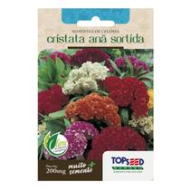 Sementes De Celósia Cristata Anã Sortida Tradicional 200mg