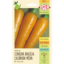 Sementes de Cenoura Brasília Calibrada Média com 1 Grama - 9021 - ISLA Sementes de Cenoura Brasília Calibrada Média com 1 Grama - 9021 - ISLA