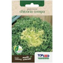 Sementes de Chicória Crespa TOPSEED