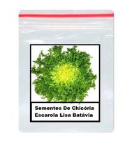 Sementes De Chicória Escarola Lisa Batávia 100 unidades Sementes De Chicória Escarola Lisa Batávia 100 unidades