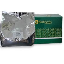 Sementes de Coentro Aruba 5kg - Plantio Fácil e Produtivo Sementes de Coentro Aruba 5kg - Plantio Fácil e Produtivo