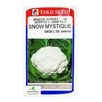 Sementes de Couve Flor Híbrida Snow Mystique (Inverno) Env. C/ 2.500 Sementes