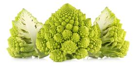 Sementes de Couve-Flor Romanesco - 3g Sementes de Couve-Flor Romanesco - 3g