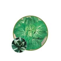 Sementes de Couve Tronchuda Portuguesa Pac C/ 50gr Sementes de Couve Tronchuda Portuguesa Pac C/ 50gr