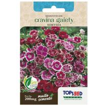 Sementes de Cravina Gaiety (Sortida) TOPSEED