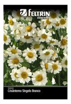 Sementes de Crisantemo Singelo Branco Env C/ 120mg Sementes de Crisantemo Singelo Branco Env C/ 120mg