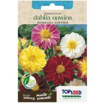 Sementes de Dahlia Unwins Dobrada (Sortida) TOPSEED Sementes de Dahlia Unwins Dobrada (Sortida) TOPSEED