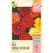 Sementes de Dália Dobrada Anã Sortidas com 0,3 Gramas - 37823 - ISLA