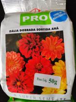 sementes de dalia dobrada sortida ana 50g em Promoção no Magazine Luiza