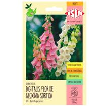 Sementes de Digitalis/Flor de Gloxinia (Sortida) ISLA