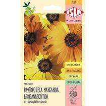 Sementes de Dimorfoteca Margarida Africana Sortida -300mg