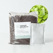 Sementes de Ervas para Cultivar Sanchz Design 16x11x6cm