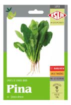Sementes de Espinafre Hibrido Pina Env C/ 1gr de Sementes
