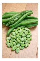 Sementes de Fava Super Agua Doce Pac C/ 1kg Sementes de Fava Super Agua Doce Pac C/ 1kg