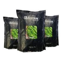 Sementes de Feijão Carioca Dynamo Feltrin 3kg - com Alto Rendimento e Vigor Sementes de Feijão Carioca Dynamo Feltrin 3kg - com Alto Rendimento e Vigor