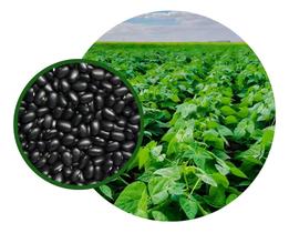 Sementes de Feijão Cultivar IAC 2358 Unamax 900gr