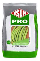 Sementes de Feijao Vagem Macarrao Trepador Fav Pac C/ 1KG