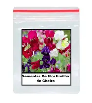 Sementes De Flor Ervilha de Cheiro 12 unidades