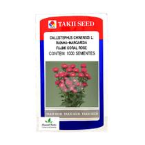 Sementes de Flor Rainha Margarida Aster Fujimi Coral Rose Env. C/ 1.000 Sementes