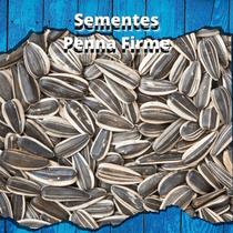 Sementes de Girassol - 1kg Sementes de Girassol - 1kg