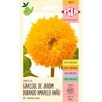 Sementes de girassol de jardim dobrado amarelo anão Isla 800mg