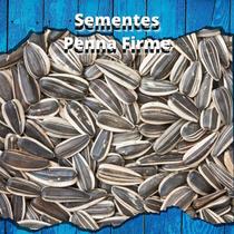 Sementes de Girassol Gigante - 1kg Sementes de Girassol Gigante - 1kg