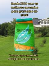 Sementes de Grama Batatais 1 kg para jardim