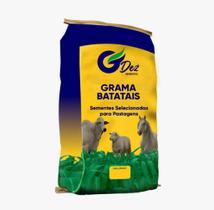 Sementes de Grama Batatais 5 kg para jardim e campo de futebol