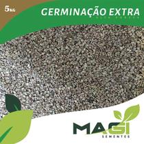 Sementes de grama batatais (mato grosso)
