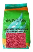 Sementes de Grama Bermudas de 1 Kg Sementes de Grama Bermudas de 1 Kg