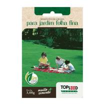 Sementes De Grama para Jardim Folha Fina Tradicional 3,00g