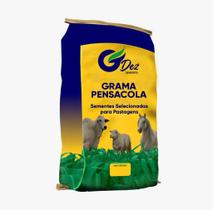Sementes De Grama Pensacola (3 kg)