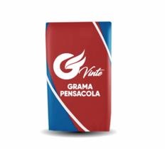 Sementes De Grama Pensacola (500g)