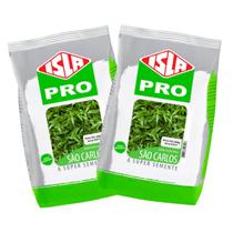 Sementes de Grama São Carlos Folha Larga (1kg) ISLA Sementes de Grama São Carlos Folha Larga (1kg) ISLA