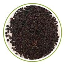 Sementes de Gypsophila Mosquitinho Sortido 300mg - SEEDS Sementes de Gypsophila Mosquitinho Sortido 300mg - SEEDS